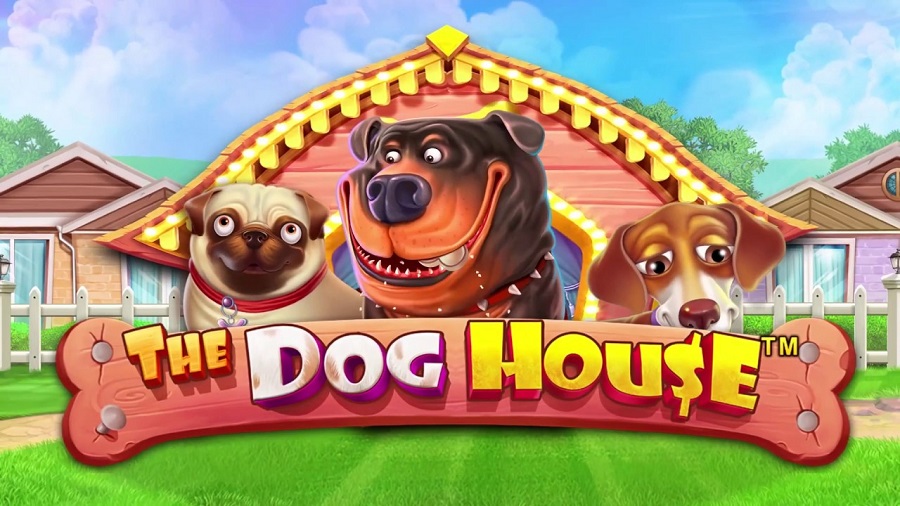 dog-house-casumo